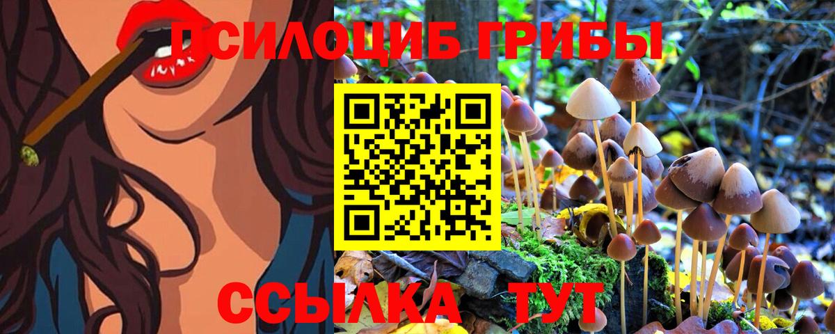 Галлюциногенные грибы MAGIC MUSHROOMS Свободный